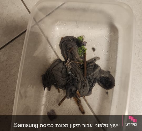 מיכל פלסטיק עם חפצים רטובים על רצפה